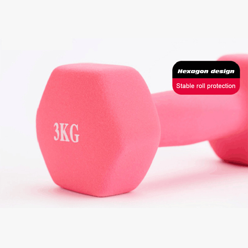 Women Dumbbell Hexagonal Dumbb - Home Gym Dumbbell Set 评论和价格